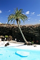 Kanary_2010 289